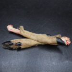 Reh-Läufe für Hunde – Bild 4